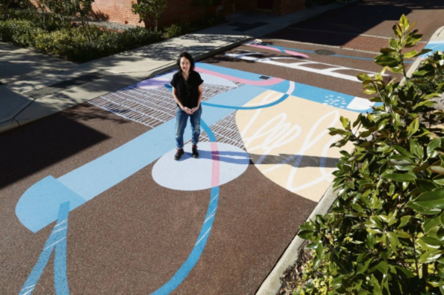 Heathcote Mural Project