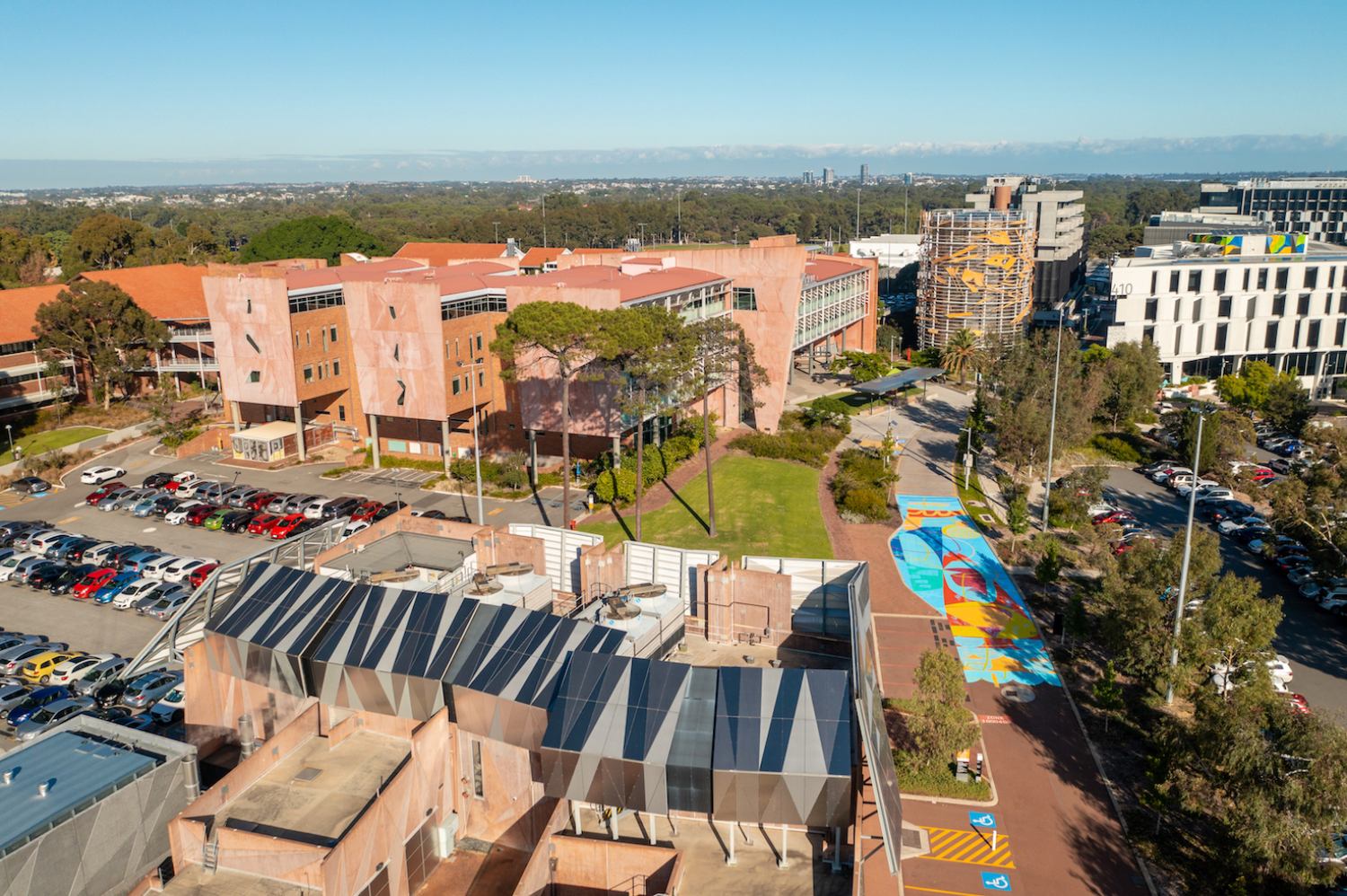 Curtin University Exchange Murals-2