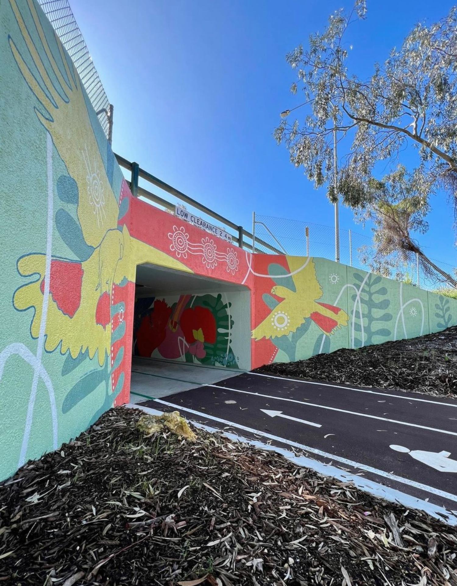 Erindale-Underpass3