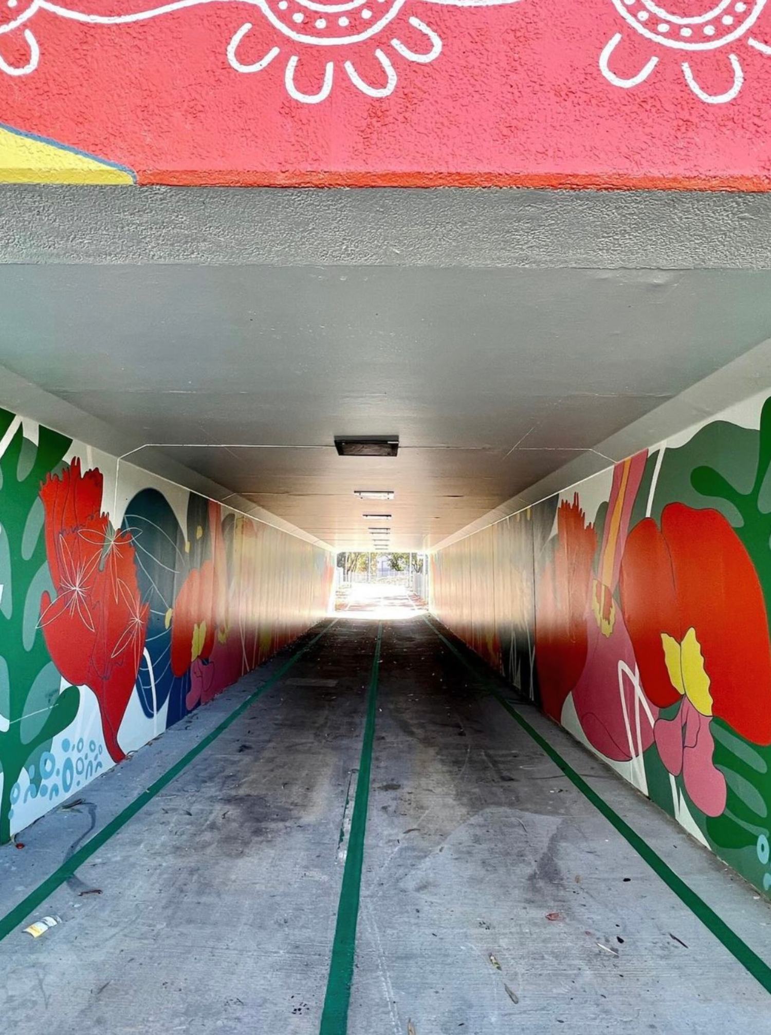 Erindale-Underpass4