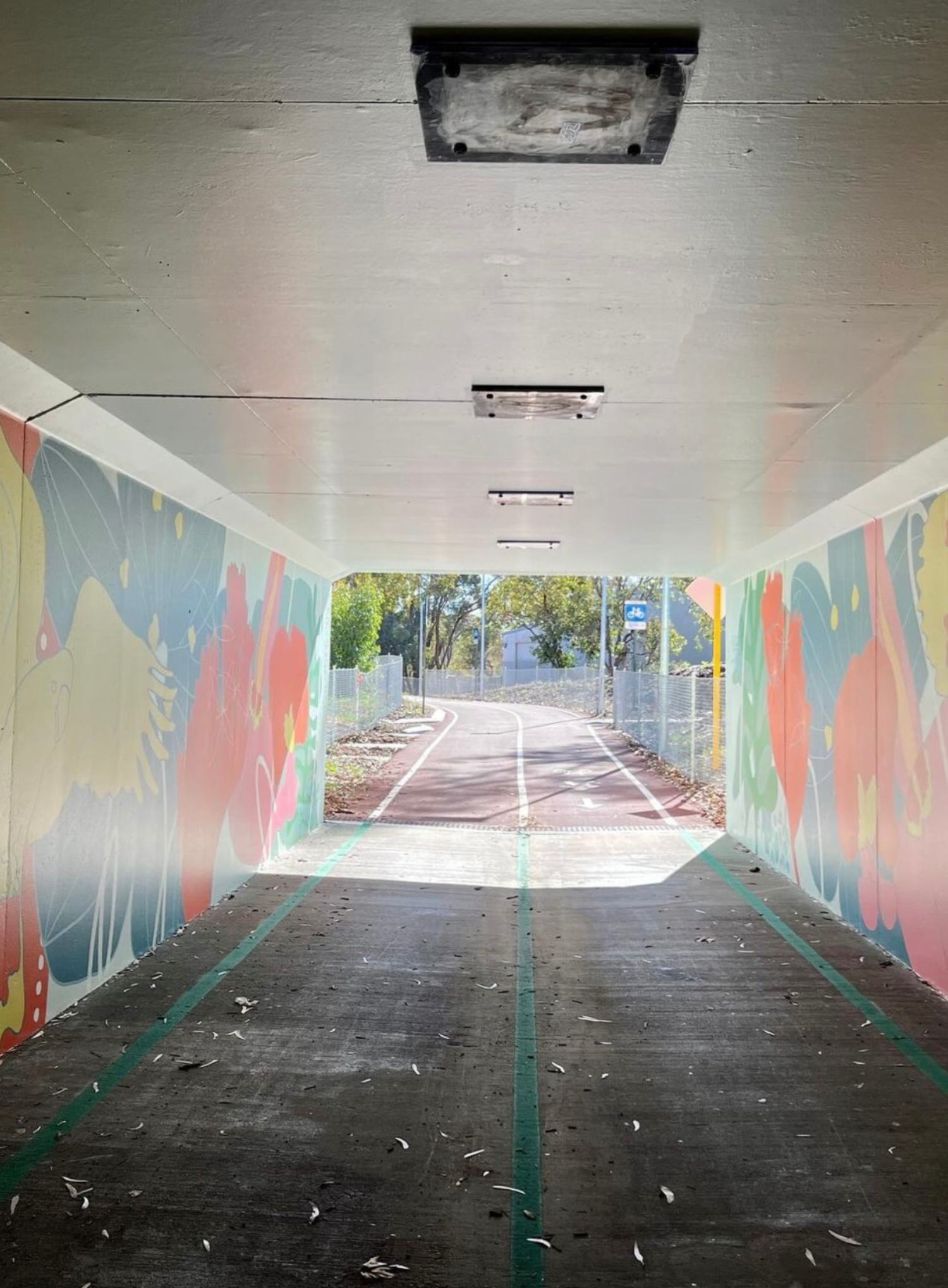 Erindale-Underpass5