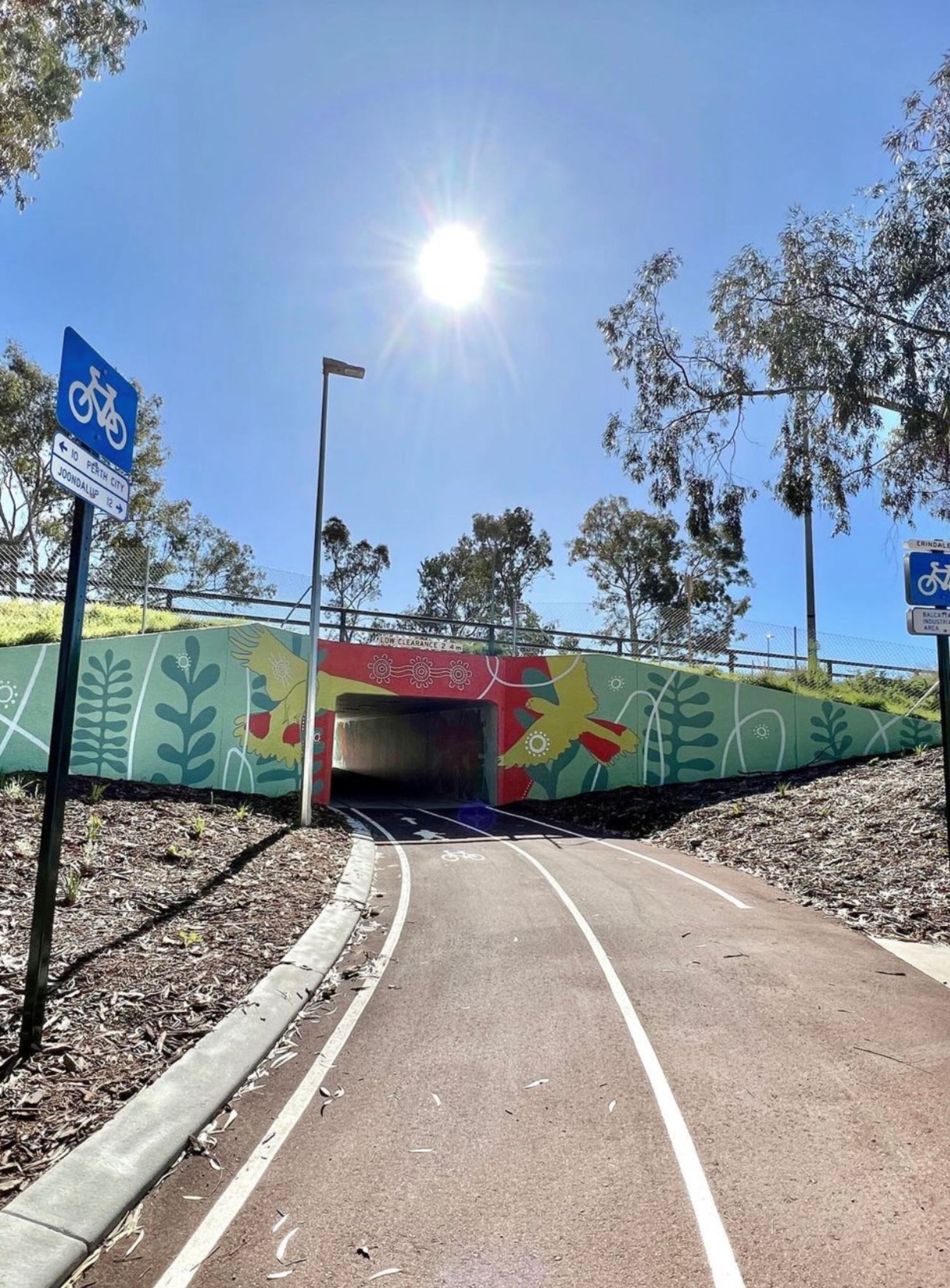 Erindale-Underpass6