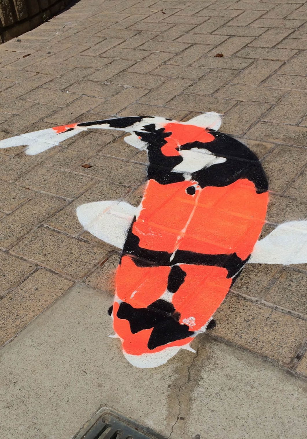 Koi-2-Sioux-Tempestt Festival Koi Fish